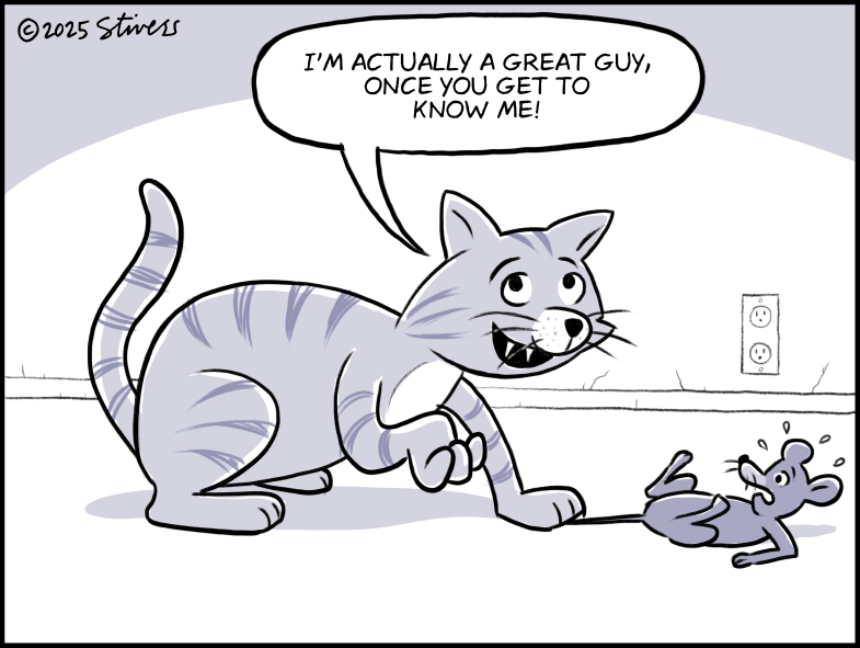 Cat is a nice guy